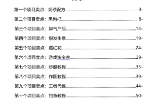 清风筹谋:10个月入过万的创富项目