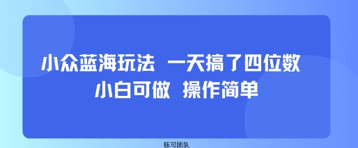 小众蓝海玩法 一天搞了四位数 小白可做 操作简单-优优云网创优优云网创资源站