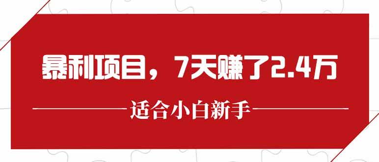 （15228期）最新暴利项目，每单收益轻松在300以上，7天赚了2.4万-优优云网创优优云网创资源站