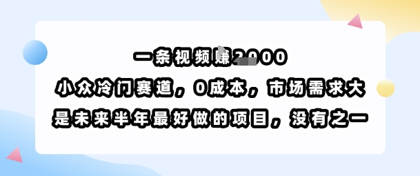 一条视频挣1k，小众冷门赛道，0成本，市场需求大，是未来半年最好做的项目，没有之一-优优云网创优优云网创资源站