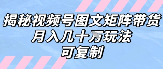 解密视频号图文矩阵带货，月入几个W的打法，可复制-优优云网创优优云网创资源站