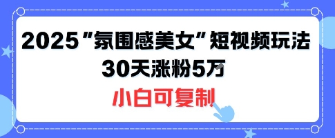 不露脸也能火！2025“氛围感美女”短视频玩法，30天涨粉5W小白可复制-优优云网创优优云网创资源站