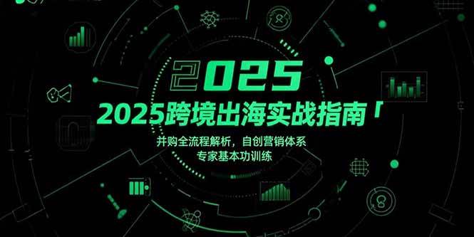 （15503期）2025跨境出海实战指南，并购全流程解析，自创营销体系，专家基本功训练-优优云网创优优云网创资源站