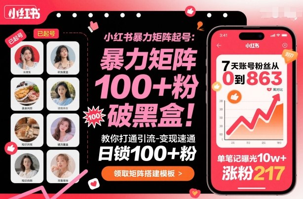 小红书暴力矩阵起号，教你打通引流-变现速通，日锁100+粉，破流量黑盒-优优云网创优优云网创资源站