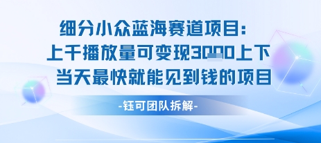 小众蓝海赛道项目：当天变现1k+适合新手操作 +适合长期玩-优优云网创优优云网创资源站