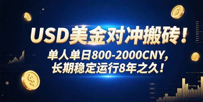 （15551期）USD美金对冲搬砖!单人单日800-2000CNY，长期稳定运行8年之久!-优优云网创优优云网创资源站