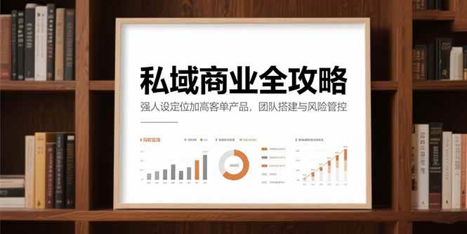 （15294期）私域商业全攻略，强人设定位加高客单产品，团队搭建与风险管控-优优云网创优优云网创资源站