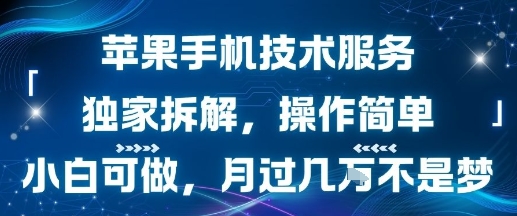 苹果手机技术服务，独家拆解，操作简单，小白可做，月过1W不是梦-优优云网创优优云网创资源站