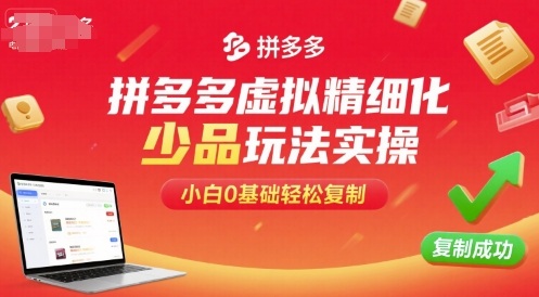 拼多多虚拟精细化少品玩法实操，小白0基础轻松复制-优优云网创优优云网创资源站