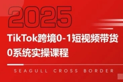 TikTok跨境0-1短视频带货，系统拆解TikTok跨境带货全链路，实现跨境可持续盈利-优优云网创优优云网创资源站