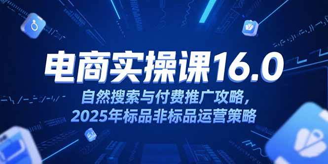 （15262期）淘宝电商运营课16.0，自然搜索与付费推广攻略，2025年标品非标品运营策略-优优云网创优优云网创资源站