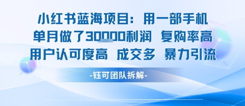 小红书蓝海项目，一部手机单月做了3W利润，小白也能月入过1W用户认可度高成交多-优优云网创优优云网创资源站