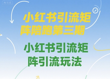 小红书引流矩阵陪跑第三期，小红书引流矩阵引流玩法-优优云网创优优云网创资源站