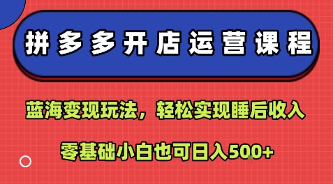 拼多多开店运营课程：蓝海变现玩法，轻松实现睡后收入，零基础小白也可日入5张-优优云网创优优云网创资源站