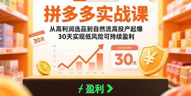 （15586期）拼多多实战课：从高利润选品到自然流高投产起爆 30天实现低风险可持续盈利-优优云网创优优云网创资源站