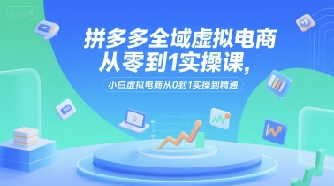 拼多多全域虚拟电商从零到1实操课，小白虚拟电商从0到1实操到精通-优优云网创优优云网创资源站