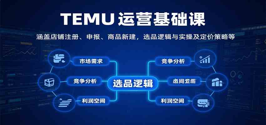 TEMU运营基础课：涵盖店铺注册、申报、商品新建，选品逻辑与实操及定价策略等-优优云网创优优云网创资源站