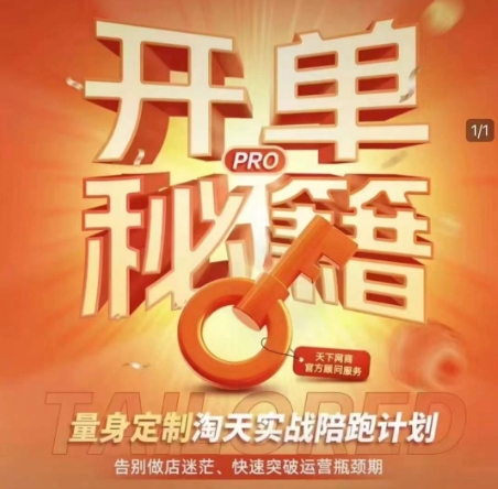 淘宝开单秘籍PRO，量身定制淘天实战陪跑计划，告别做店迷茫、快速突破运营瓶颈期（更新6月）-优优云网创优优云网创资源站