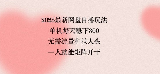 2025最新网盘自撸玩法，单机每天稳下3张，无需流量和拉人头，一个人就可轻松矩阵，全网独一份【揭秘】-优优云网创优优云网创资源站