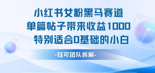 小红书女粉黑马赛道单篇帖子带来收益1k+，特别适合0基础的小白-优优云网创优优云网创资源站