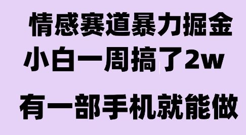 情感暴力掘金项目，新人操作一周挣了2W，长期稳定小白可做【揭秘】-优优云网创优优云网创资源站