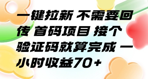 一键拉新 不需要回传 首码项目 接个验证码就算完成 一小时收益70+【揭秘】-优优云网创优优云网创资源站