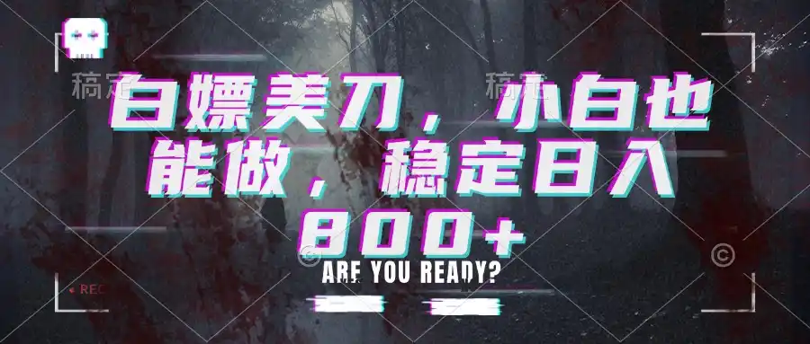 白嫖美刀,小白也能做,稳定日入800+- 0成本轻资产创业 | 虚拟项目 | 一人公司落地平台|清创生财清风筹谋网赚库
