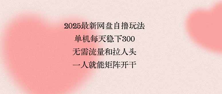 （15831期）2025最新网盘自撸玩法，单机每天稳下3张，无需流量和拉人头，一个人就…-优优云网创优优云网创资源站