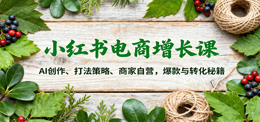 小红书电商增长课:AI创作、打法策略、商家自营,爆款与转化秘籍-优优云网创