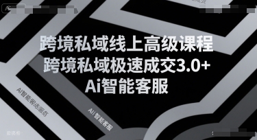 跨境私域线上高级课程，跨境私域极速成交3.0+Ai智能客服-优优云网创优优云网创资源站