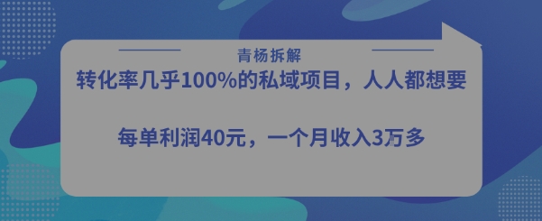 转化率最高的私域项目，每单利润40-50米，月入过1w-优优云网创优优云网创资源站