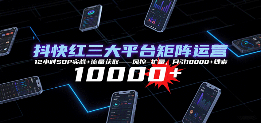 抖快红三大平台矩阵运营，12小时SOP实战+流量获取-风控-扩量，月引10000+线索-优优云网创优优云网创资源站