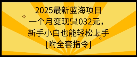 2025最新蓝海项目一个月变现1w+新手小白也能轻松上手【附全套指令】-优优云网创优优云网创资源站