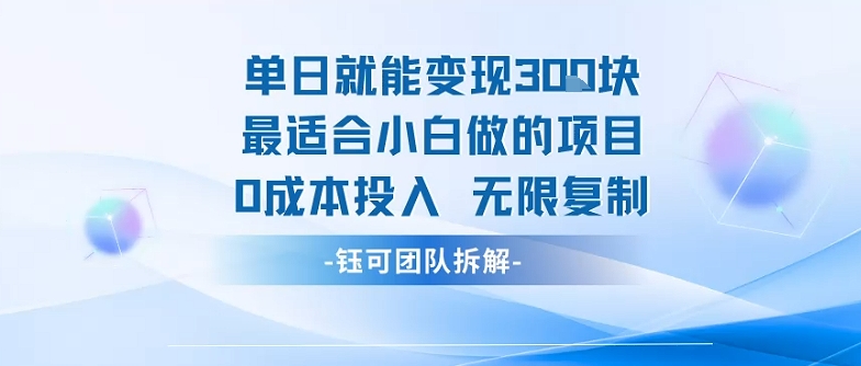 单日就能变现3张最适合小白做的项目0成本投入 无限复制-优优云网创优优云网创资源站