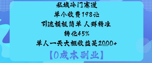 私域冷门赛道:单个收费198米引流模板简单人群精准转化45%单人一天大概收益是1k+-优优云网创优优云网创资源站