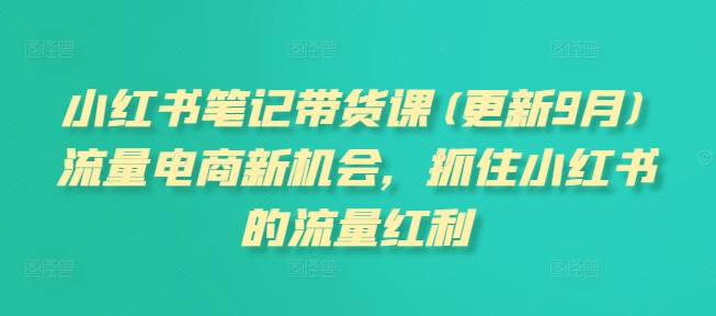 小红书笔记带货课(更新25年6月)流量电商新机会，抓住小红书的流量红利-优优云网创优优云网创资源站