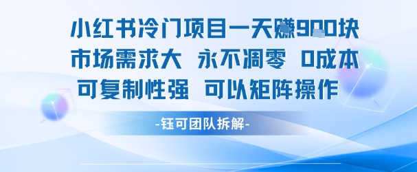 小红书冷门项目一天收益9张，市场需求大，0成本，可复制性强可以矩阵操作-优优云网创优优云网创资源站