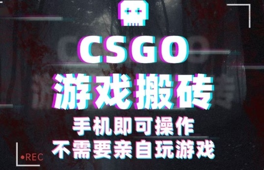 CSGO游戏挂G捡漏，单日扫货5张+，年底小高峰上车可吃肉，手机即可操作，兼职副业创业网创【揭秘】-优优云网创优优云网创资源站