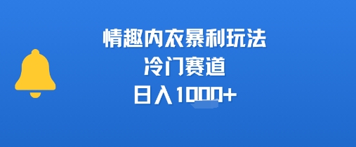 情趣内衣暴利玩法，冷门赛道，日入1k+-优优云网创优优云网创资源站