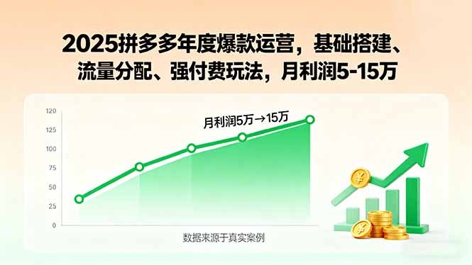 2025拼多多年度爆款运营，基础搭建、流量分配、强付费玩法，月利润5-15万-优优云网创优优云网创资源站