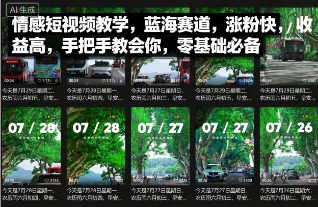 情感短视频教学，蓝海赛道，涨粉快，收益高，手把手教会你，零基础必备-优优云网创优优云网创资源站