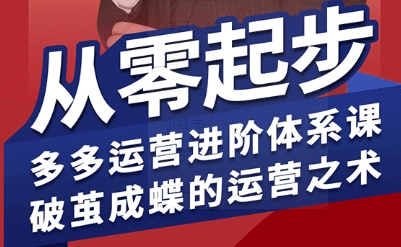 拼多多运营进阶系统课，从零起步，多多运营进阶体系课，破茧成蝶的运营之术-优优云网创优优云网创资源站
