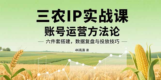 三农IP实战课：账号运营方法论，六件套搭建，数据复盘与投放技巧-优优云网创优优云网创资源站