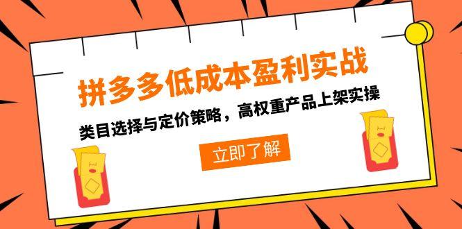 拼多多低成本盈利实战，类目选择与定价策略，高权重产品上架实操-优优云网创优优云网创资源站