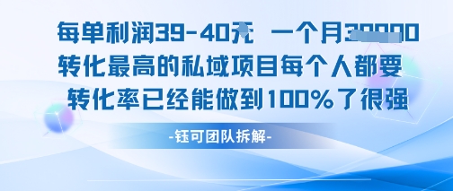 每单利润40一个月7k+转化最高的私域项目，每个人都要的产品转化率已经能做到100%-优优云网创优优云网创资源站