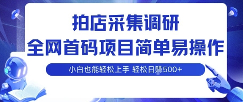 拍店采集调研，全网首码项目，简单易操作， 小白也能轻松上手，多账号操作，轻松日入5张【揭秘】-优优云网创优优云网创资源站