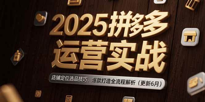 （15235期）2025拼多多运营实战：店铺定位选品技巧，爆款打造全流程解析（更新6月）-优优云网创优优云网创资源站