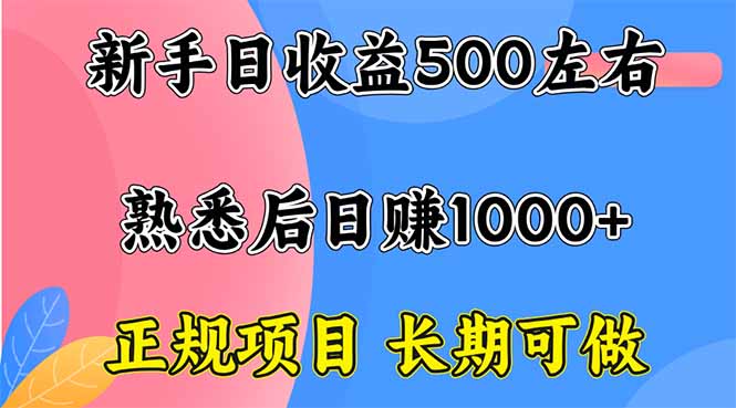 新手日收益500+ 正规项目 长期可做-优优云网创优优云网创资源站