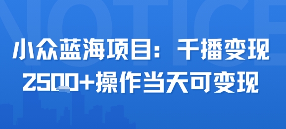 小众蓝海项目，千播变现2.5k+操作当天可变现-优优云网创优优云网创资源站