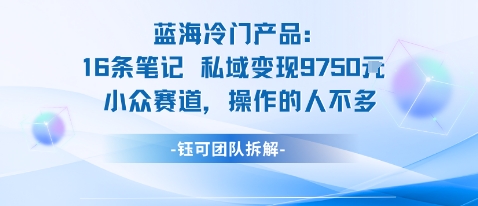 蓝海项目：16条笔记私域变现9750米小众赛道操作的人不多-优优云网创优优云网创资源站